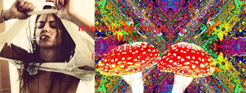 Галлюциногенные грибы Magic Shrooms  Елабуга 